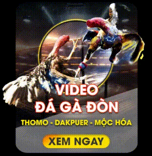 Đá gà 1